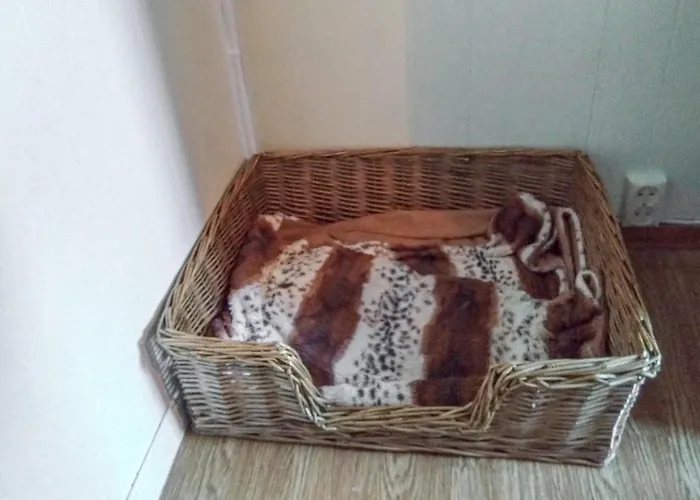 Awesome In With View Semesterbostad *